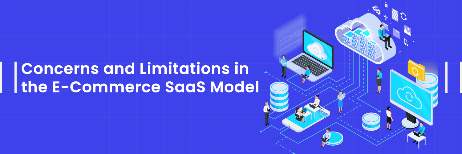 Concerns and Limitations in the E-Commerce SaaS Model