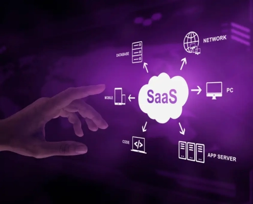 What is a SaaS Business Model for E-commerce Websites